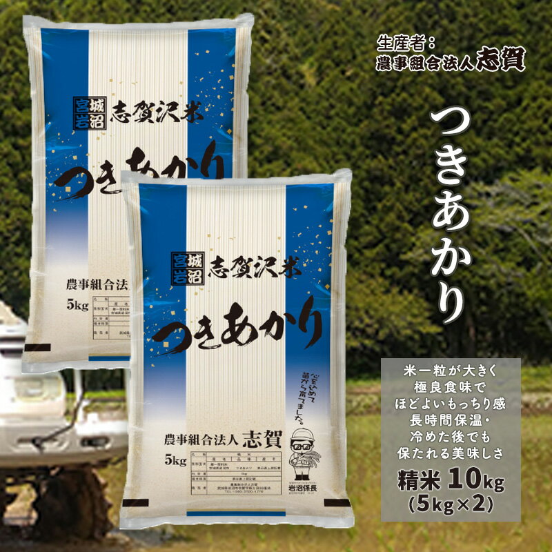 【ふるさと納税】米 つきあかり 10kg (5kg×2) 志賀沢米 岩沼産 お米 白米 精米 ブランド米 単一原料米 5キロ 10キロ こめ コメ おこめ ご飯 ライス 月あかり 東北 宮城県産 宮城米 宮城 宮城県 岩沼市　お届け：2025年9月中旬～2025年10月中旬