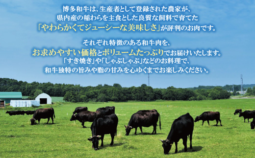 【訳あり】博多和牛　切り落とし2kg