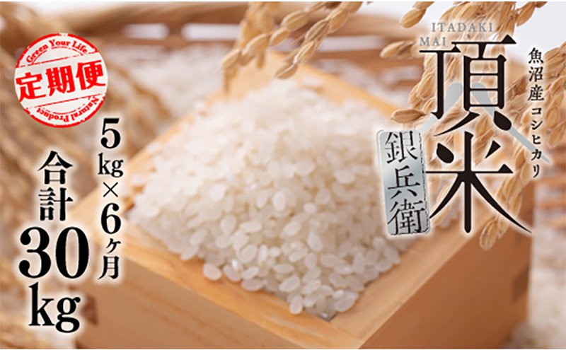 米 【毎月定期便】頂米銀兵衛 魚沼産コシヒカリ（精米）5kg  全6回  こしひかり コメ お米 ごはん ご飯 新潟 十日町市