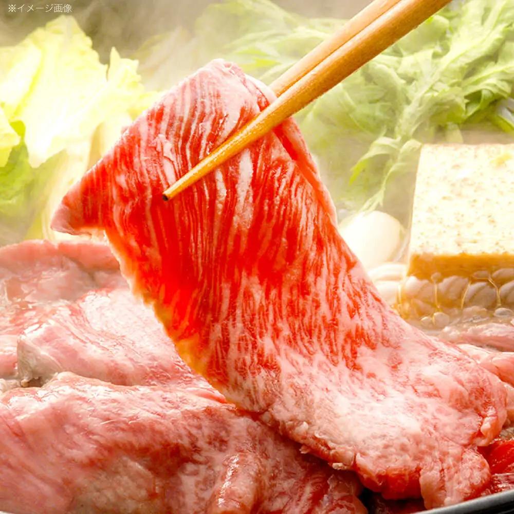 【12回定期便】牛肉スライス リブロース スライス 約1kg(500g×2) [OCE058]