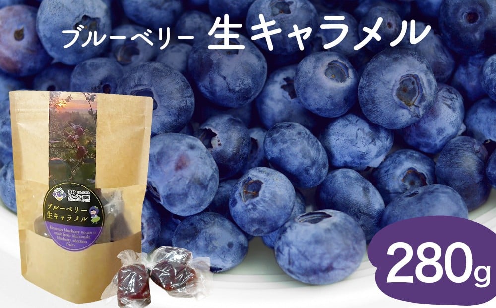 
                  ブルーベリー 生キャラメル 280g 無添加 摘みたて 自然栽培 手作り 果実 100% キャラメル アントシアニン トッピング 石巻市産 宮城県 石巻市
                