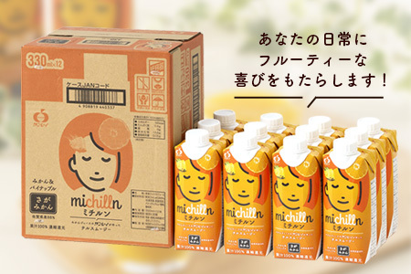 果汁ミックスジュース　ミチルン　330ml×12本　B-763