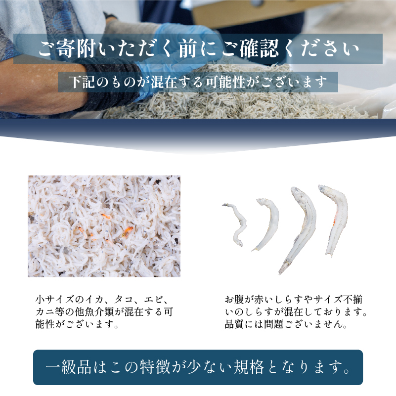 一級品 しらす 500g 釜揚げ  |  冷凍 しらす 釜揚げしらす ごはんのお供 おつまみ 酒の肴 便利 簡単調理 おかず 惣菜 しらす丼 グルメ 食品 魚 魚介 海鮮 シラス 贈答 ギフト 愛媛県
