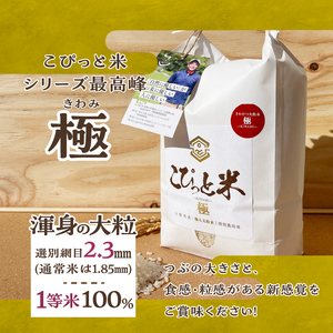 【先行予約】【令和8年度新米】こぴっと米【極】4kg 大粒厳選・1等特別栽培米 100％ [h020]