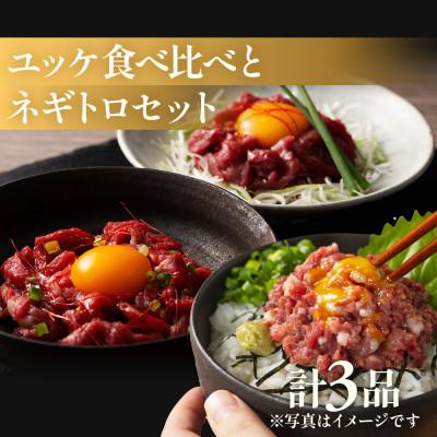 ふるさと納税 八代市 「熊本特産」馬刺しユッケ2種とネギトロの食べ比べセット(八代市)