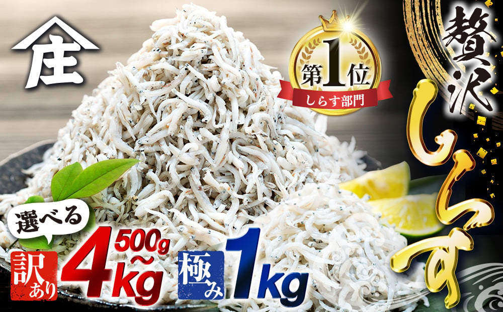 
            しらす 500g ～ 4kg 訳あり 冷凍 しらす干し 減塩 釜揚げ ごはん 丼 パスタ チャーハン サラダ 魚 料理 愛知県 南知多町 師崎 シラス しらす ちりめん じゃこ かちり 小魚 魚貝 魚貝類 しらす シラス 天日干し 海鮮 しらす丼 シラス丼 ふるさと納税しらすしらす おすすめ 大人気 南知多産しらす 愛知県産しらす シラス しらす ちりめん じゃこ かちり シラス しらす ちりめん
          