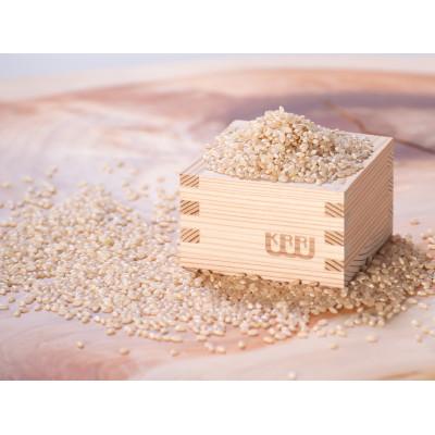 ふるさと納税 宇陀市 栽培期間中農薬不使用玄米麺　大和当帰3袋 |  | 01