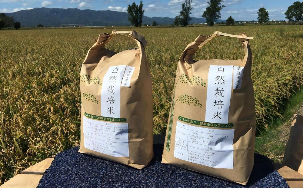 自然栽培のお米と小豆  酵素玄米セット10ｋｇ