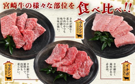 【数量限定】宮崎牛9種盛り焼肉セット_22-3101_(都城市) 宮崎牛 ラムシン/マルシン/イチボ/サーロイン/ザブトン/肩ロース/ショートリブ/カルビ/内モモ ギフト