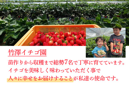 [先行予約] いちご 2種食べ比べセット「とちあいか＆スカイベリー」各1パック 計約600g [2026年1月中旬から順次発送] ｜とちあいか スカイベリー スカイベリー いちご イチゴ 苺 果物 フ