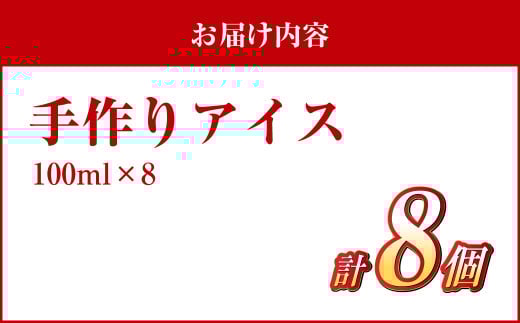 手作りアイス 8個セット