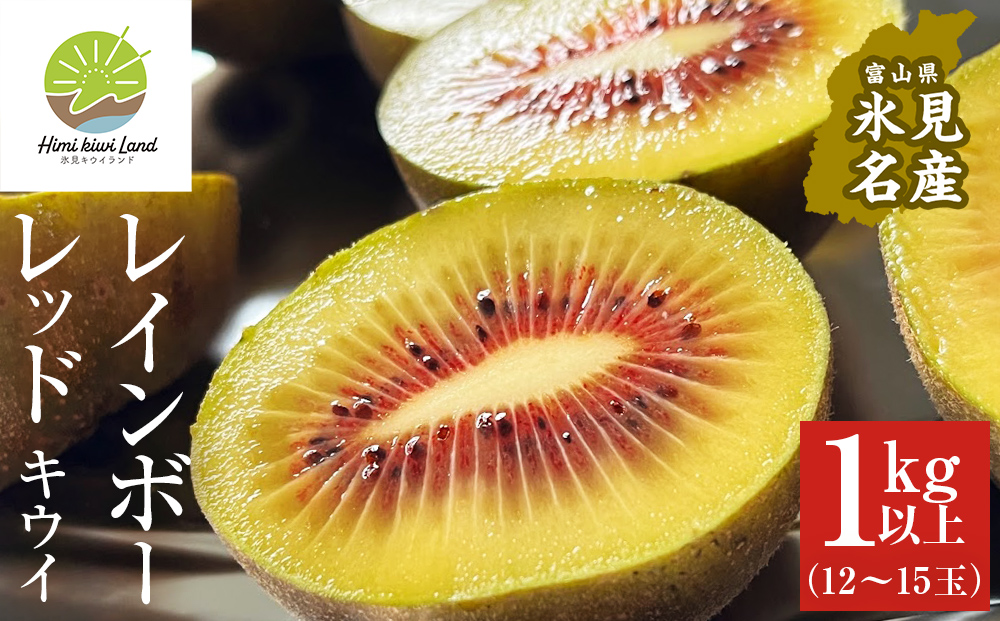 【先行予約】氷見産キウイ（レインボーレッド）1kg以上（9～15玉） 【2025年11月以降順次発送】 ｜　富山県 氷見市 レインボーレッドキウイ 国産 キウイフルーツ