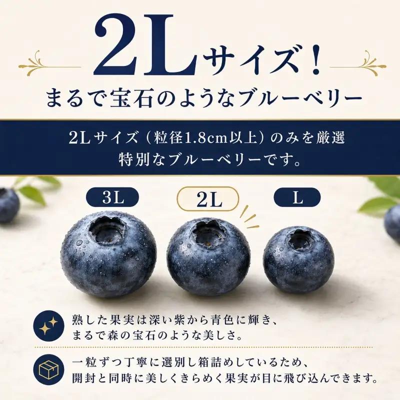 ブルーベリー 2Lサイズ 150g×5 大粒 生ブルーベリー 藤与果樹園 fujiyoB002