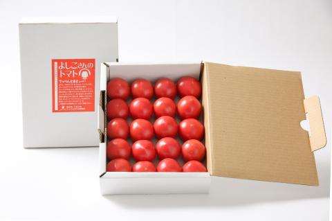 0111101よしこさんのトマト 夏秋限定(家庭用　1kg/１箱）※令和5年10月中旬で受付終了