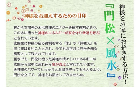 ＜先行予約＞新春 お正月 フラワーアレンジメント（門松大）