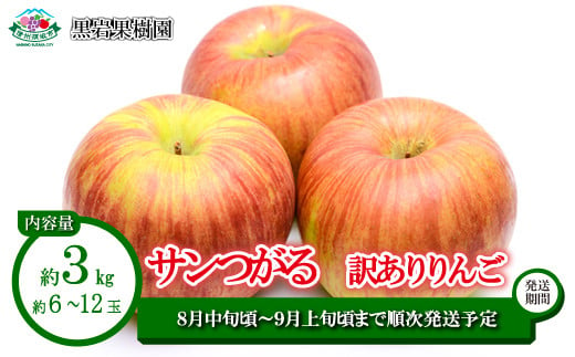 
            [No.5657-3610]サンつがる 訳ありりんご 約3kg (約6～12玉)《黒岩果樹園》■2025年発送■※8月中旬頃～9月上旬頃まで順次発送予定
          