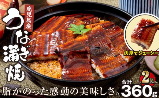 1284-3鹿児島産うなぎ 合計360g（180g×2尾）　KN021-015-02