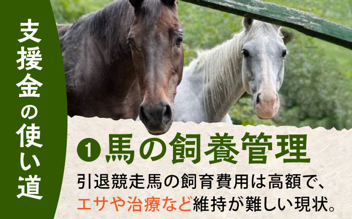 【幸せな第二の馬生を】引退競走馬支援 25,000円 【CLUB RIO】 支援 動物支援 動物保護 流鏑馬 返礼品なし [HBY005]