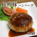 【ふるさと納税】「大仙市産 杜仲豚ハンバーグ30個」長沼商店