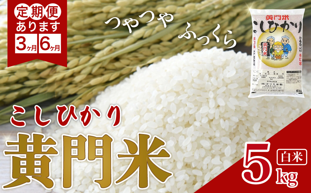 
【新米発送 令和6年産】 2週間以内発送 新米 黄門米 コシヒカリ 白米 5kg | 茨城県産 常陸太田市 タツミ米穀 コシヒカリ こしひかり 5kg 5キロ 米 こめ コメ お米 白米 精米 お取り寄せ 贈答 人気 ランキング ごはん 贈り物 5キロ 風味 甘い 米どころ ブランド米 黄門米 水戸黄門 人気米
