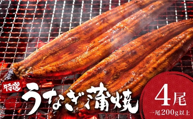＜土用の丑の日(7月26日)着＞うなぎ蒲焼き 800g (200g×4尾)