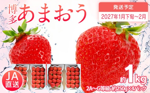  【2027年1月下旬～2027年2月順次発送】あまおう 約250g×4パック