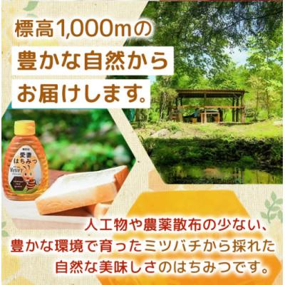 ふるさと納税 嬬恋村 嬬恋村 愛妻はちみつ ( くり ) 500g×2個セット |  | 01