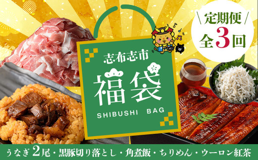 【定期便全３回】志布志市福袋！鰻とおかずいろいろセット(霧島湧水鰻2尾＆釜揚げちりめん＆黒豚ウデ切り落とし＆ウーロン紅茶＆角煮飯) ウナギ 蒲焼 2尾 鰻重 うな丼 黒豚 しらす ちりめんじゃこ バラエティ 食べ比べ t0084-009