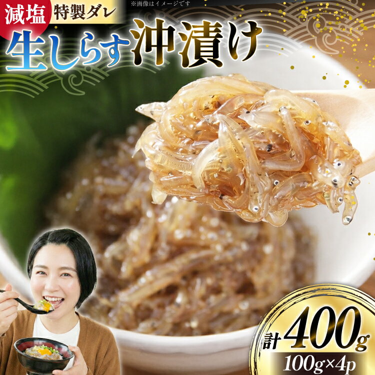 【ふるさと納税】 生しらす 沖漬け 計 400g [丸三水産 静岡県 吉田町 22424696] しらす シラス 小分け 冷凍 海鮮 ご飯のお供