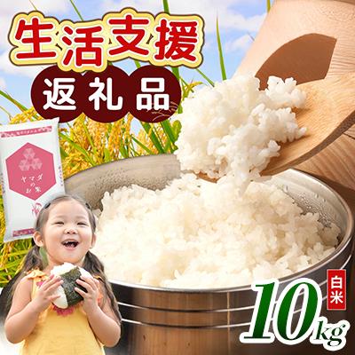 ふるさと納税 愛荘町 【令和7年産含む】 近江ブレンド米 10kg 愛荘町産 白米