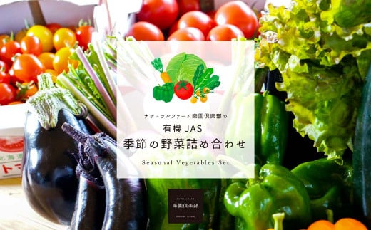 【有機JAS認定】【2ヶ月隔月定期便】 季節の野菜詰め合わせ ～有機野菜セットB～ 15種類～18種類 季節 野菜 野菜セット 有機野菜 有機 詰め合わせ セット