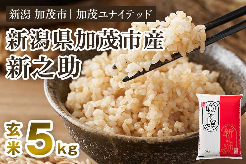 
            【令和7年産新米先行予約】新潟県産 新之助 玄米5kg 《5kg×1袋》《10月上旬から順次発送》 新潟 ブランド米 加茂市 加茂ユナイテッド
          