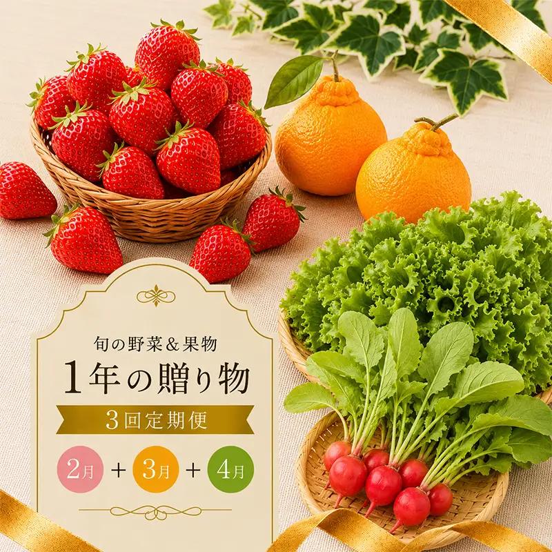 【定期便3回】 春野菜 いちご デコポン 果物 定期便