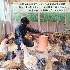 媛っこ地鶏 一羽セット もも むね 手羽先 手羽元 鶏肉 | 鶏肉 鶏肉 鶏肉 鶏肉 鶏肉 [THD002_x]