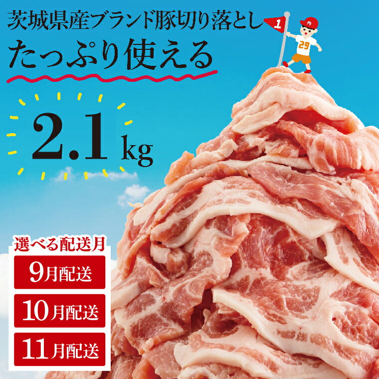 【ふるさと納税】【選べる配送月】【数量限定】リピーター続出！茨城県産ブランド豚切り落とし2.1kg (300g×7p)【肉 豚肉 切り落とし 小分け 真空 真空パック 茨城県産 肉料理 肩ロース ウデ モモ バラ 水戸市 水戸】（EC-4_1-9）