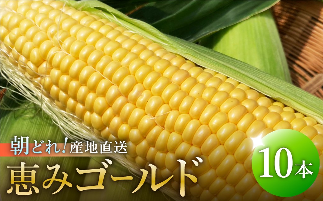 
                  さとうさんちの朝採れとうもろこし恵みゴールド 10本（9本+傷み保証1本）L～3L詰め合わせ【期間限定：6月中旬まで】／コーン　トウモロコシ　野菜　食品　BBQ　産地直送　朝採り
                