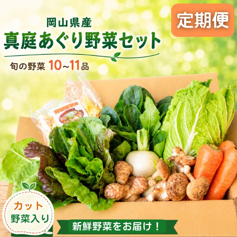 【ふるさと納税】【定期便】真庭あぐり野菜セットカット野菜が1品入る 10～11品 / 詰め合わせ 産地直送 岡山県 真庭市 新鮮 あぐりガーデン 産直工房 国産【配送不可地域：北海道／沖縄県／離島】