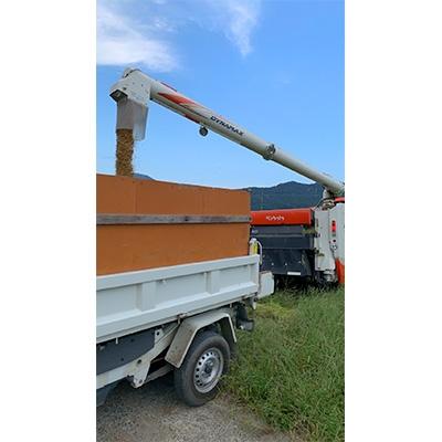 ふるさと納税 若狭町 【令和7年産】福井県若狭町コシヒカリ(1等米)　20kg(5kg×4袋) |  | 03