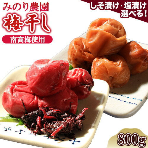 【ふるさと納税】うめぼし しそ漬け 塩 800g みのり農園《30日以内に出荷予定(土日祝除く)》熊本県 葦北郡 津奈木町 梅 梅干し 天日干し みのり農園