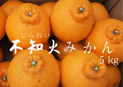 【先行予約_2025年2月上旬から配送】湯の花　不知火５kg箱セット　　　不知火 柑橘 みかん 果物 不知火 柑橘 みかん 果物 不知火 柑橘 みかん 果物 不知火 柑橘 みかん 果物 不知火 柑橘 みかん 果物 不知火 柑橘 みかん 果物 不知火 柑橘 みかん 果物 不知火 柑橘 みかん 果物 不知火 柑橘 みかん 果物 不知火 柑橘 みかん 果物 不知火 柑橘 みかん 果物 不知火 柑橘 みかん 果物 不知火 柑橘 みかん 果物 不知火 柑橘 みかん 果物 不知火 柑橘 みかん 果物 不知火 柑橘 みか