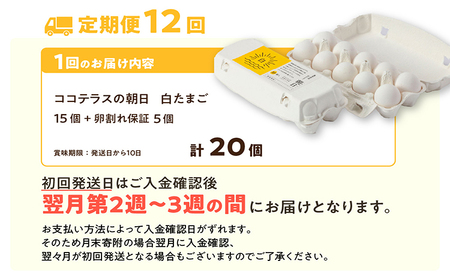 【12ヵ月定期便】ココテラスの朝日(白たまご)15個 + 5個保証(計20個)【JGAP認証】 農家直送 新鮮 卵 タマゴ 白卵 玉子 鶏卵 朝食 夕食 夜食 朝ごはん たまご焼き だし巻き卵 オムレ