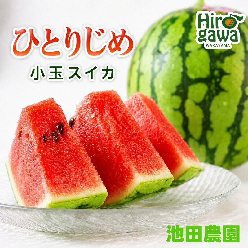 【ふるさと納税】 小玉 すいか 「ひとりじめHM」 2玉 4玉 約3kg 約6kg シャリ感＆高糖度！ [秀品] / 高級 甘い 和歌山 フルーツ スイカ 果物 ※6月上旬〜6月下旬頃に順次発送予定 ※北海道・沖縄・離島への配送不可 //hokaf