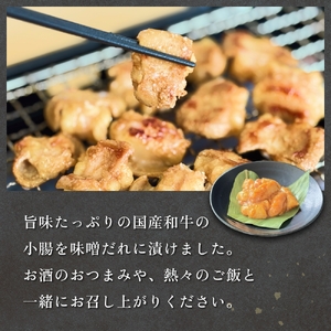 黒毛和牛 味噌 ホルモン 6P 味噌ホルモン 牛ホルモン 小腸 国産 宮城県産 味付 モツ 和牛 肉 お肉 牛肉 牛 内臓 宮城県 石巻市