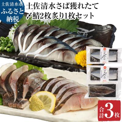 ふるさと納税 土佐清水市 獲れたて土佐の清水さば〆鯖2枚&amp;炙り〆鯖1枚セット(1枚約170〜210g)【R00457】