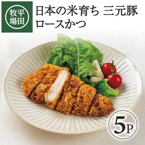 SB0828　【平田牧場】 日本の米育ち 三元豚ロースかつ　135g×5パック
