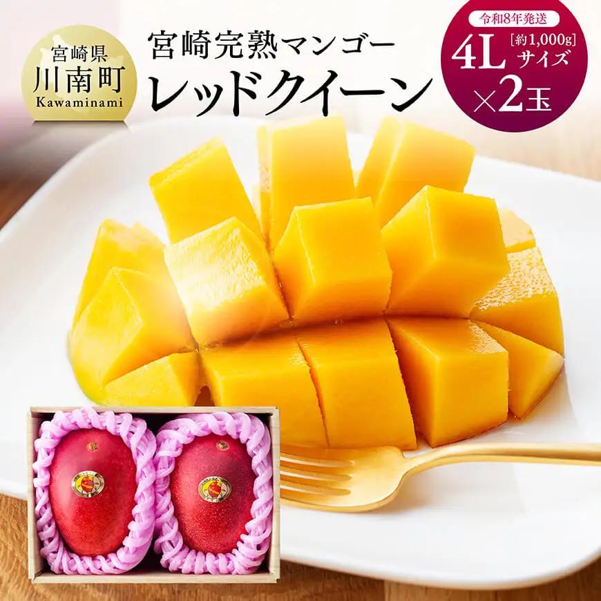 【令和8年発送】宮崎県産完熟マンゴー「レッドクイーン」4L×2玉 フルーツ マンゴー