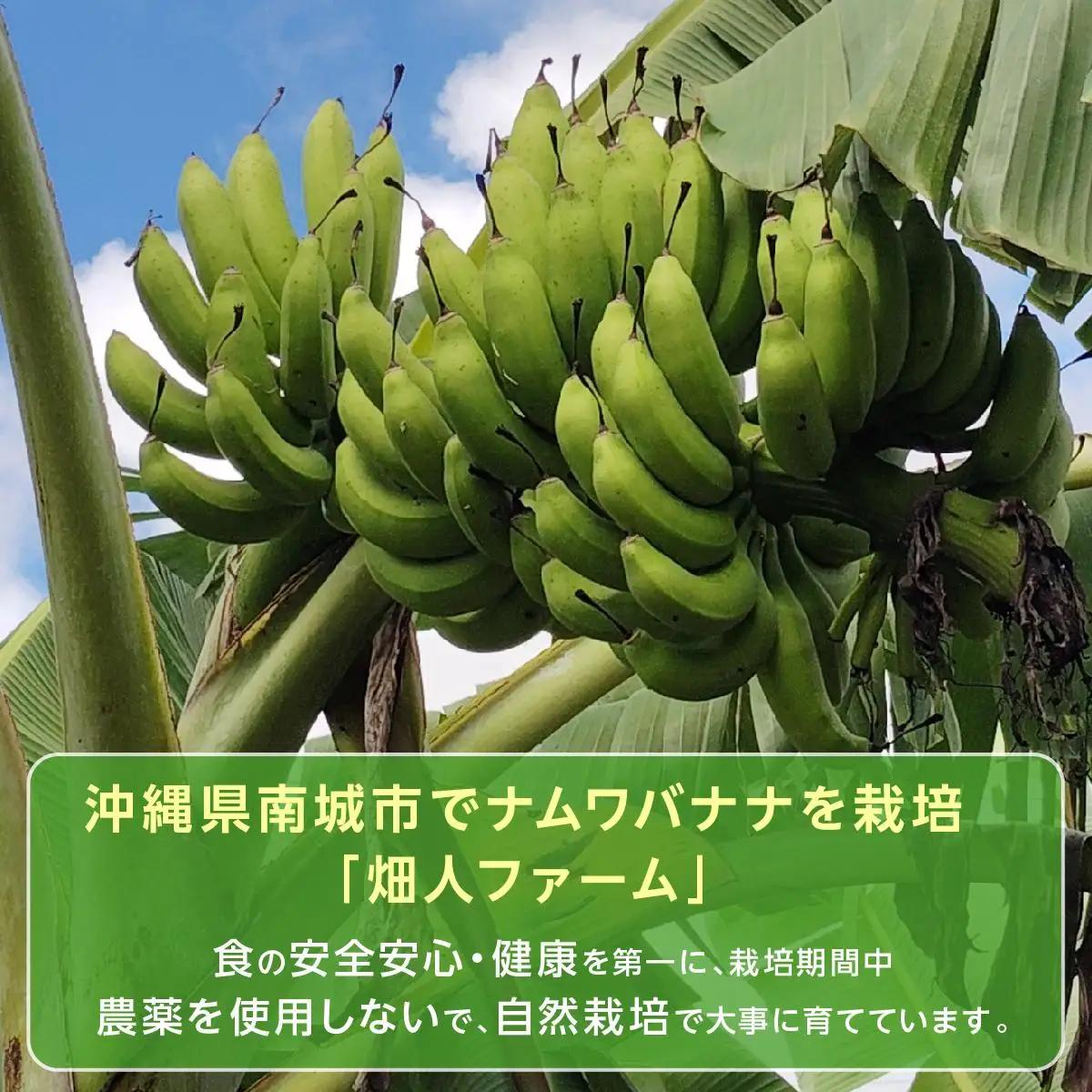 ナムワバナナ　1kg　定期便12回