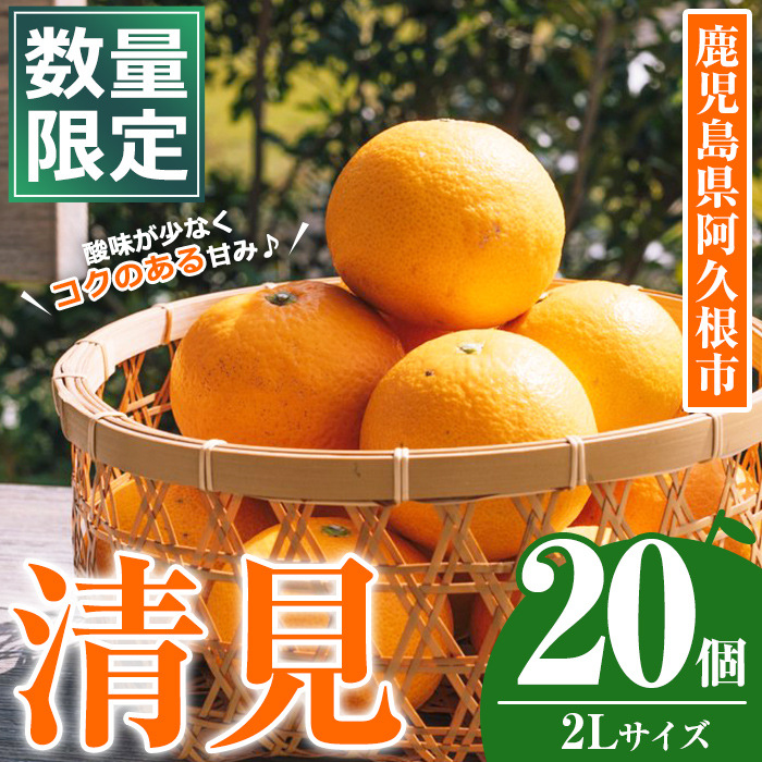＜先行予約受付中！2027年3月中旬以降順次発送予定＞数量限定！鹿児島県産 清見 (20個・2L) 柑橘 フルーツ 果物 国産 みかん 期間限定 きよみ キヨミ ミカン【株式会社土曜日】akn069-09