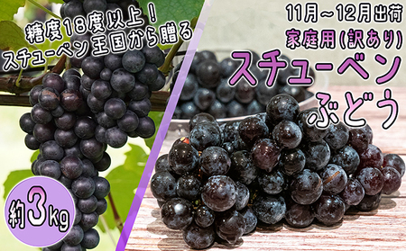 スチューベンぶどう 訳あり家庭用 津軽ぶどう村スチューベン【約3kg】