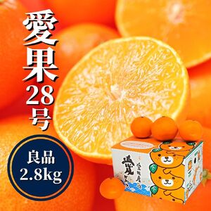 【早期予約受付中！2024年12月～順次発送】【愛果28号】約 2.8kg 【PT016_x】 愛媛県産 みかん 蜜柑 オレンジ 柑橘 果物 高級 甘い フルーツ お取り寄せ おすすめ 愛媛県 松山市